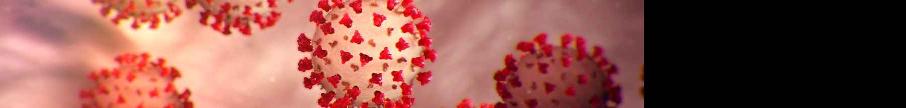Mesures complementàries en l'àmbit laboral per pal·liar els efectes derivats de la COVID-19 sobre acomiadaments per coronavirus, extensió de contractes temporals i sancions